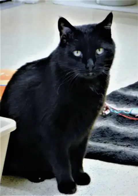 Louie photo 2