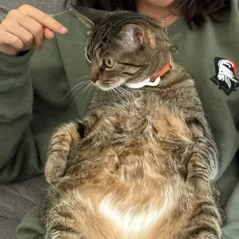 Cleo Iii photo 2