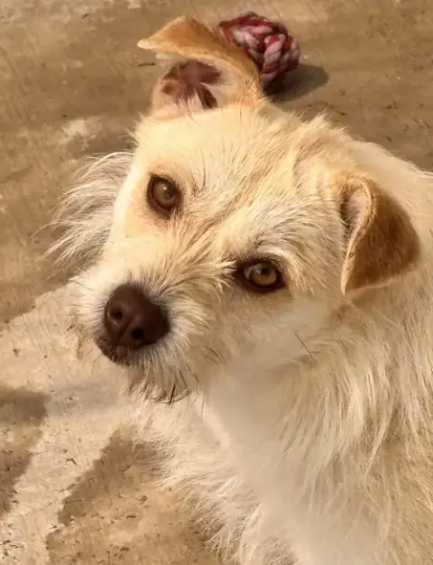 Ella