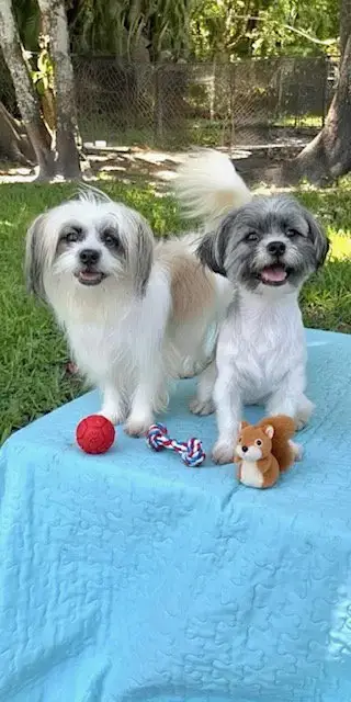 Cassie & Cindy