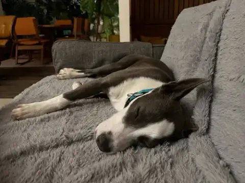 Skylar photo 4
