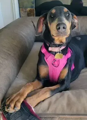 Farrah photo 3