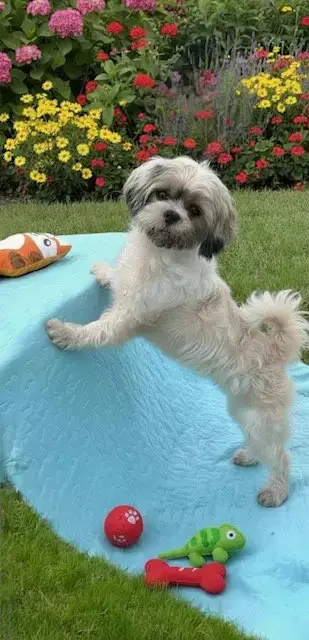 Marnie photo 2