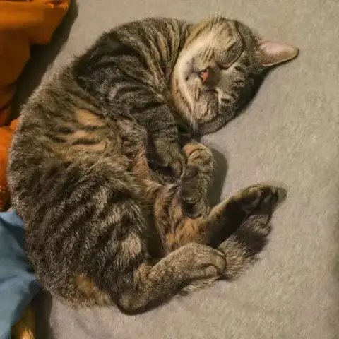 Roscoe