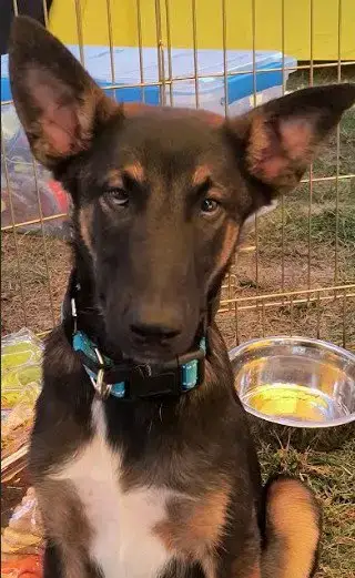 Thor photo 3