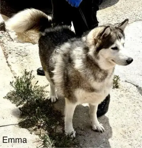 Emma photo 3