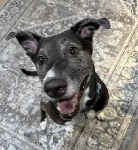 Rosie