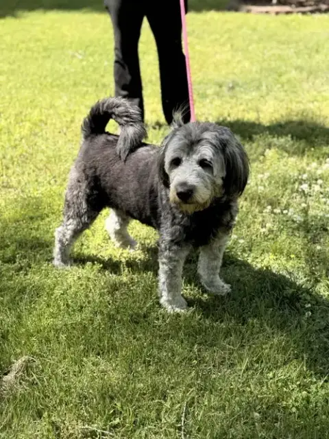 Stella photo 4