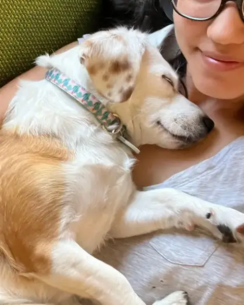 Bippity Boppity Boop photo 3