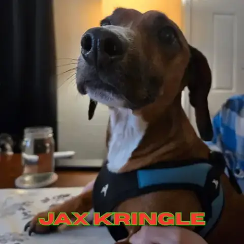Jax Kringle photo 4