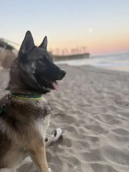 Cooper photo 2