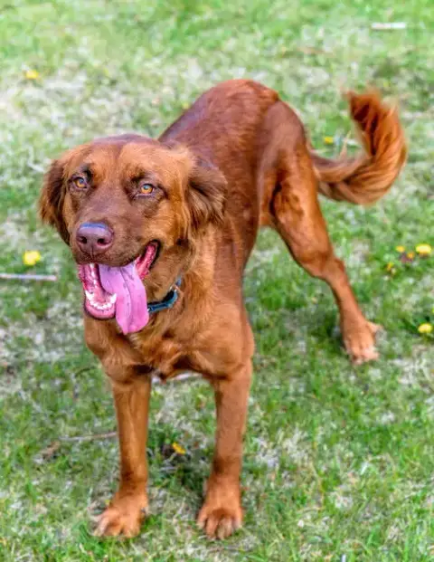 June Carter photo 4