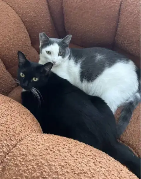 Luna And Xena photo 3