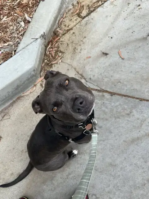 Suki **Courtesy Listing** photo 2