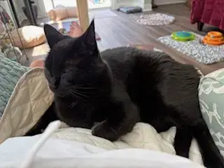 Storm: "My Home To Yours" photo 3