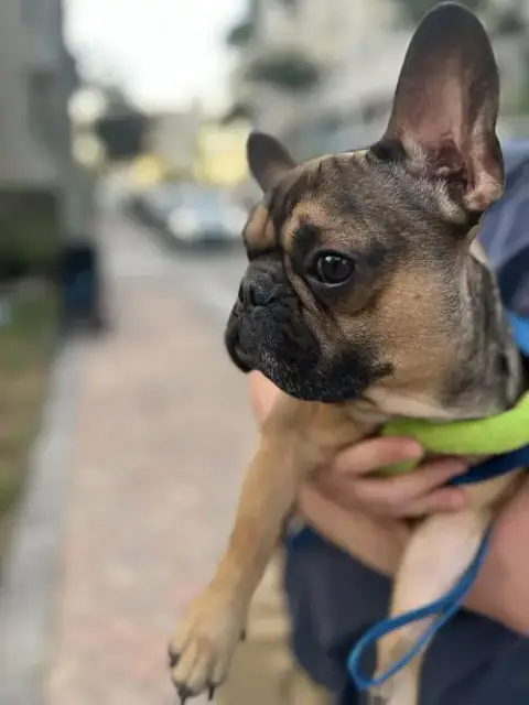 Churro photo 3