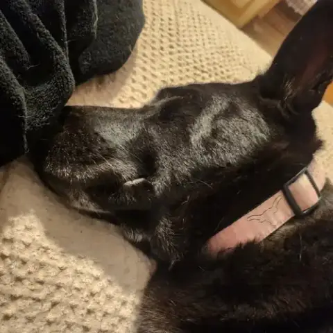Luna Bell photo 2
