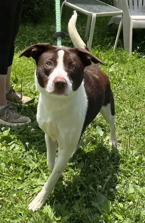 Zephyr photo 4