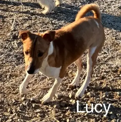 Lucie* photo 3