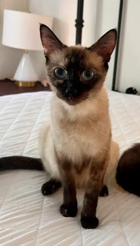 Ethel