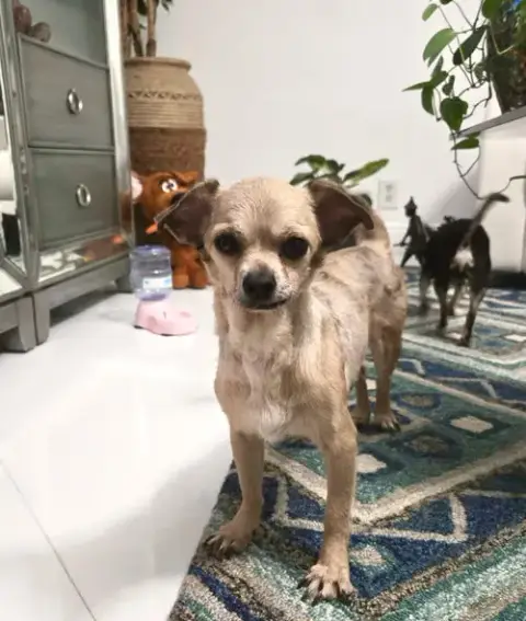 Felix photo 4