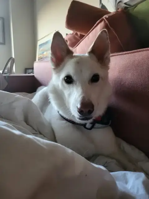 Casper Of Md photo 2