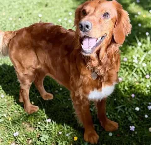 Gabby