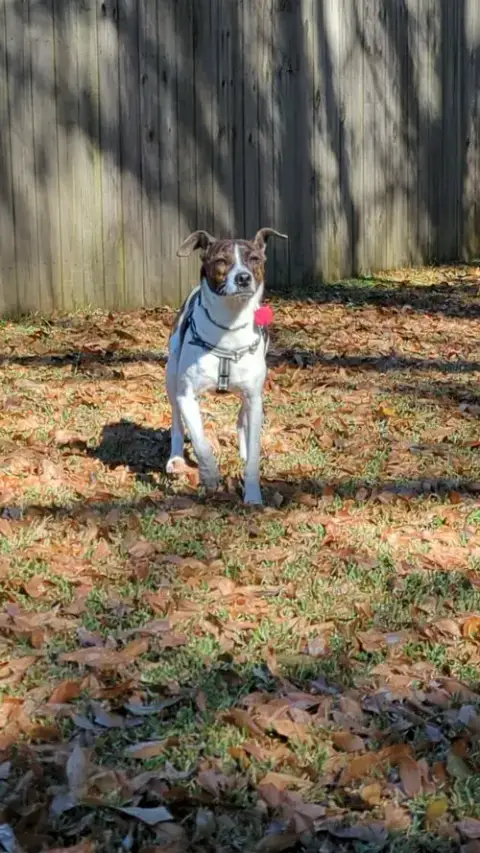Waylon James photo 3