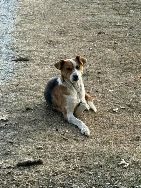 Hailey photo 4