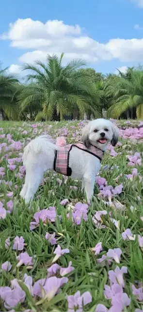 Lola Kay photo 3