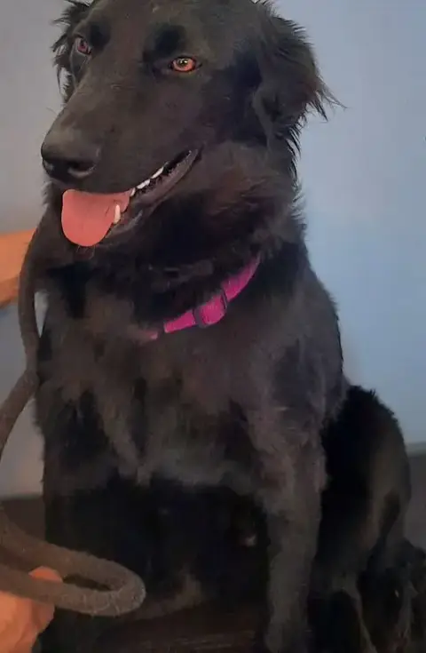 Aero