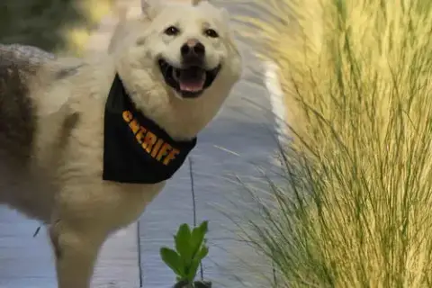 Jax photo 5