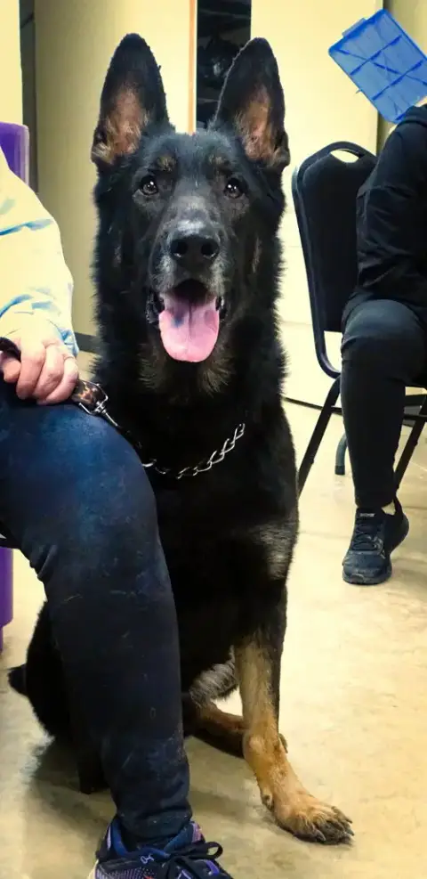 Andy photo 3