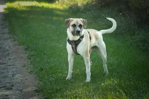 Chance photo 2
