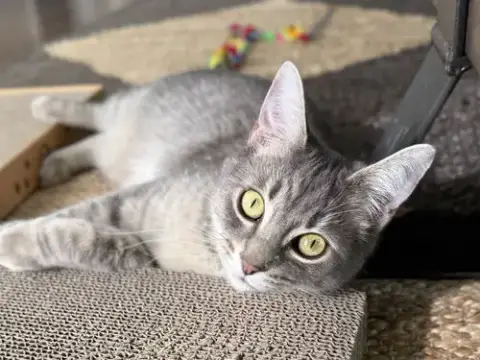 Isabella photo 1
