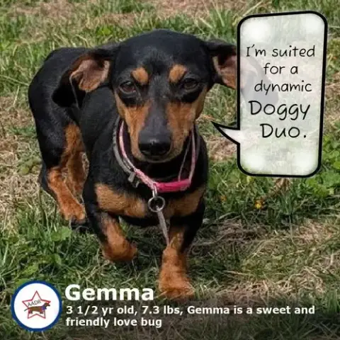 Gemma In Wi photo 3