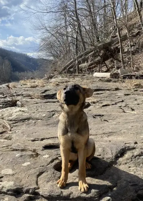 Echo photo 5