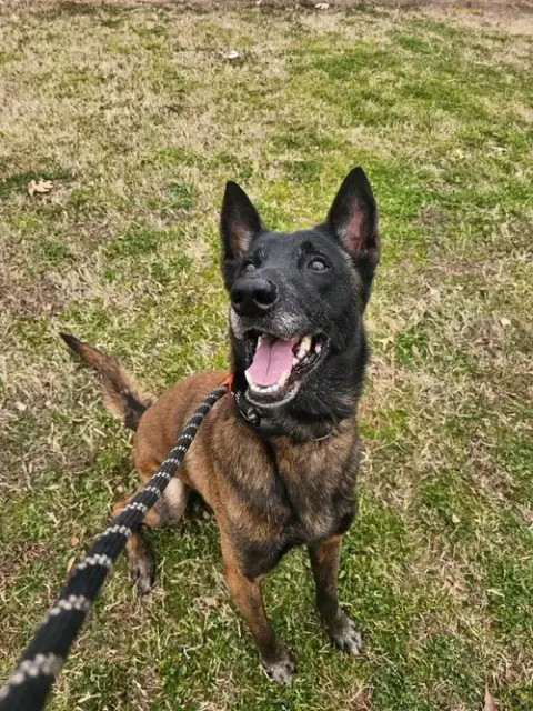 Deputy
