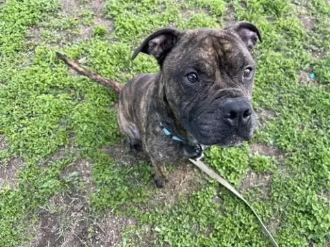 Eugene