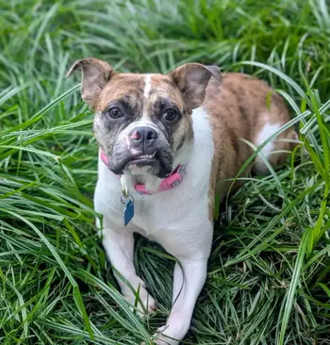 Mabel photo 2