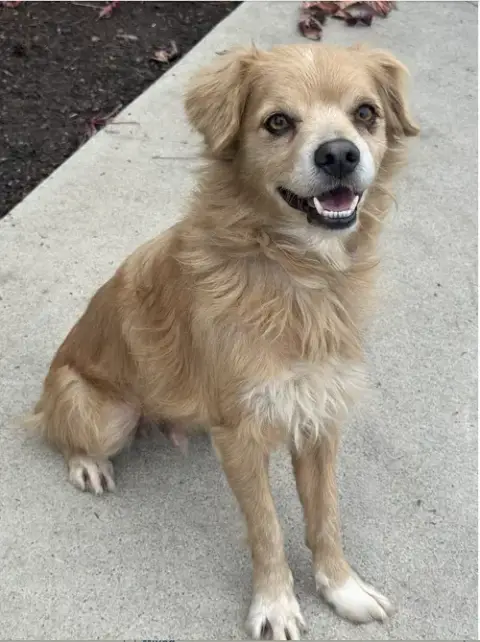 Buddy photo 4