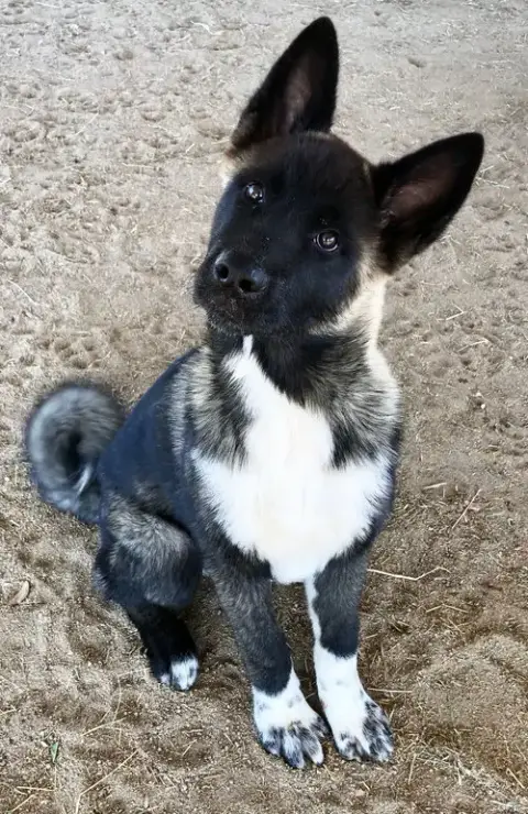 Micah photo 5