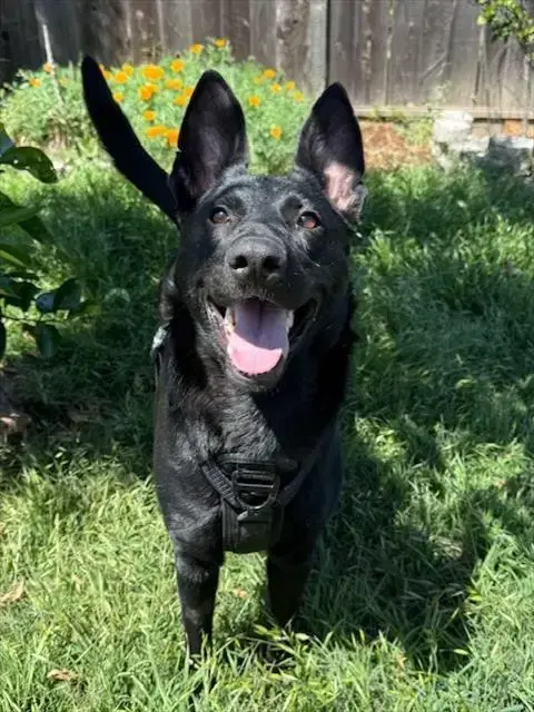 *Kona