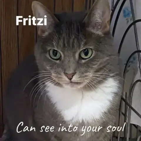 Fritzi photo 2