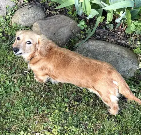 Stella In Tn photo 4