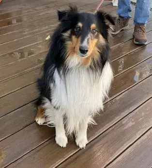 Thor photo 5