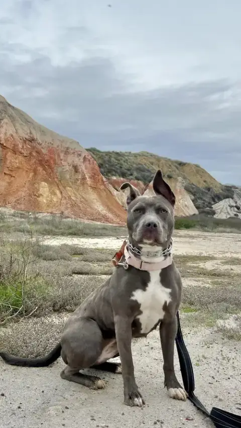Roxy photo 2