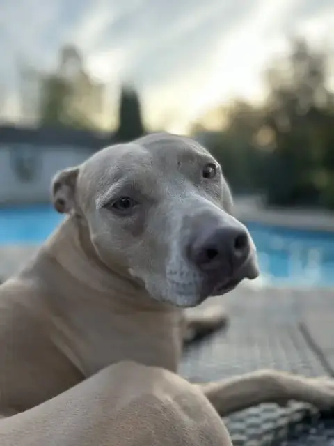 Maggie photo 4