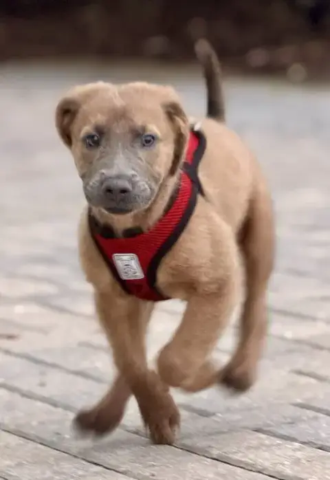 Arlo photo 4