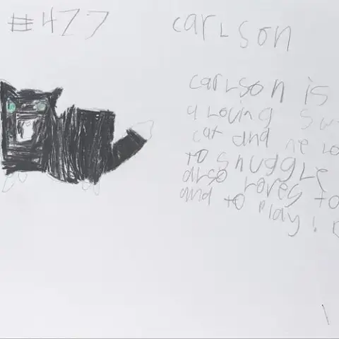 Carlson photo 4